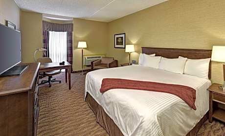Executive King Room - Non-Smoking
