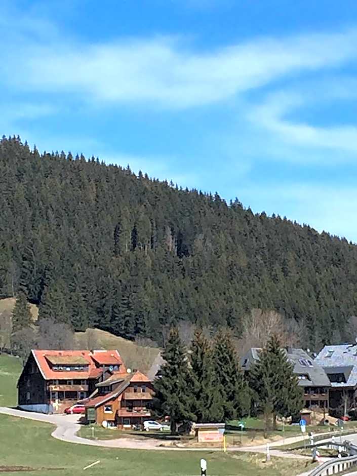 Hotel Sonnenmatte