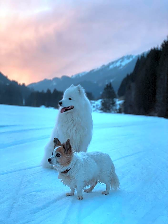 Nagelfluhhaus Hirsch