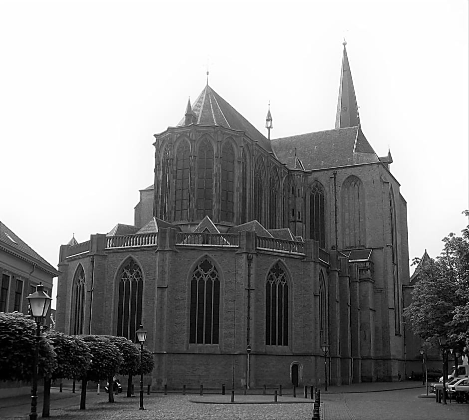 De Zevenster "gevestigd aan de winkelstraat"