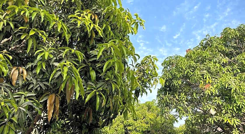 The Postcard Gir Wildlife Sanctuary