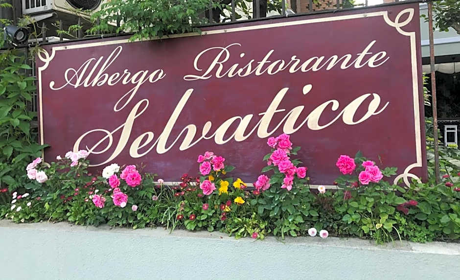 Albergo & Ristorante Selvatico