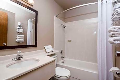 1 Queen Bed Mobility Accessible Room Non-Smoking