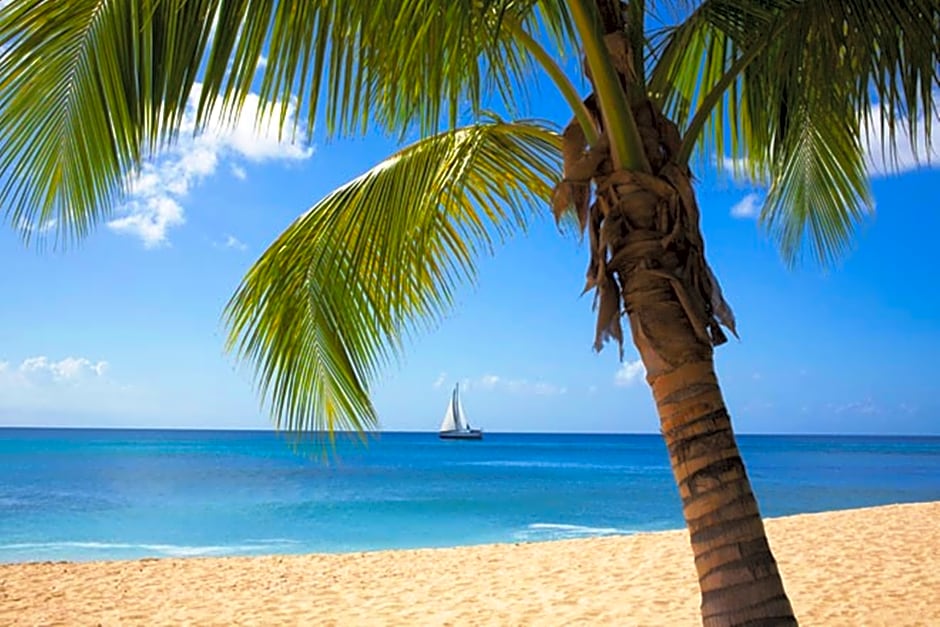 Port Ferdinand Marina and Luxury Residences