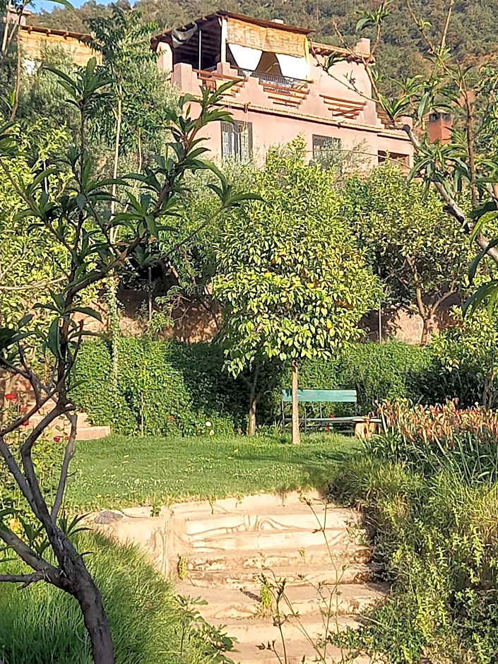 Ourika Timalizène le jardin des délices