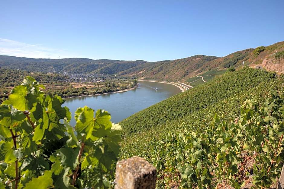 Baudobriga Rheinhotel