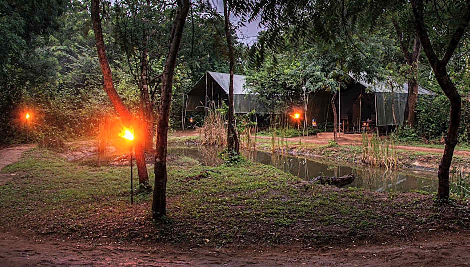 Big Game Yala - by Eco Team