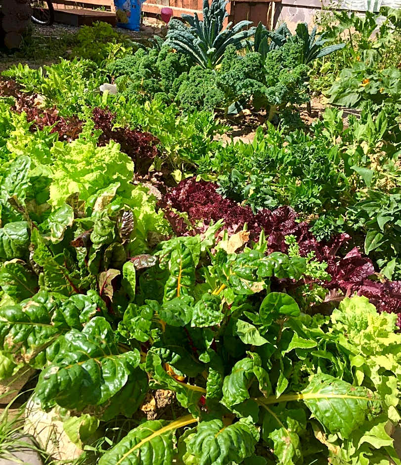 The Wanderlust Hostel