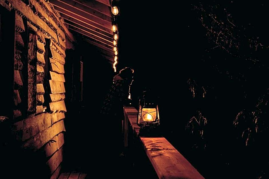 Entre Lemoine et l'arbre