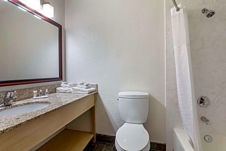 1 King Bed, Nonsmoking