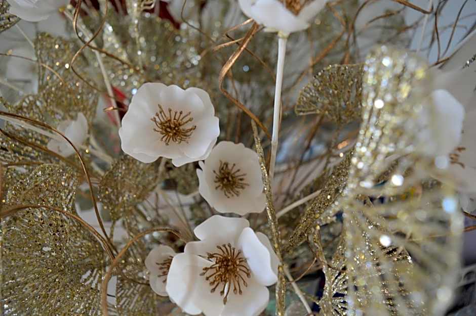 Bed and breakfast Villa Tota