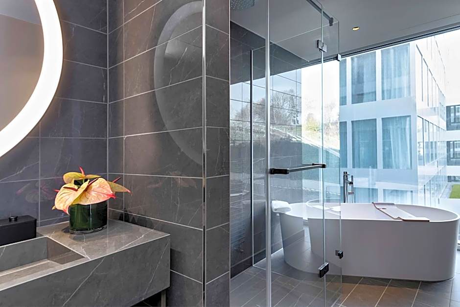 Hyatt Regency Zurich Airport The Circle