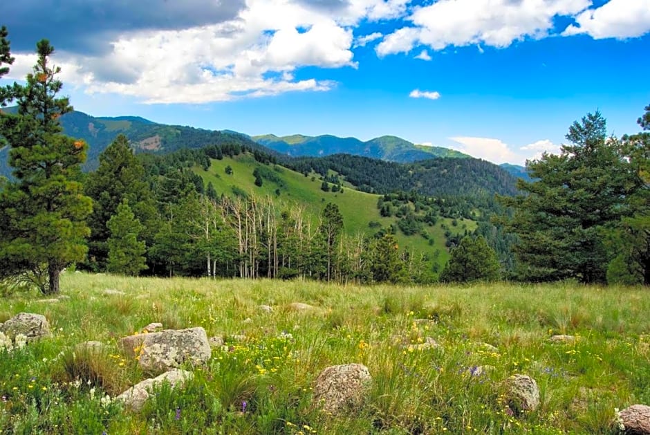 Destiny Cabin, 2 Bedrooms, Fireplace, Midtown, Sleeps 7