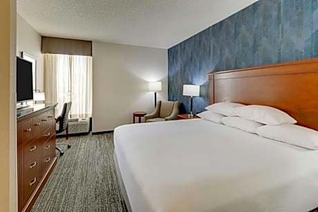 Deluxe King Room - Accessible, Roll-in Shower
