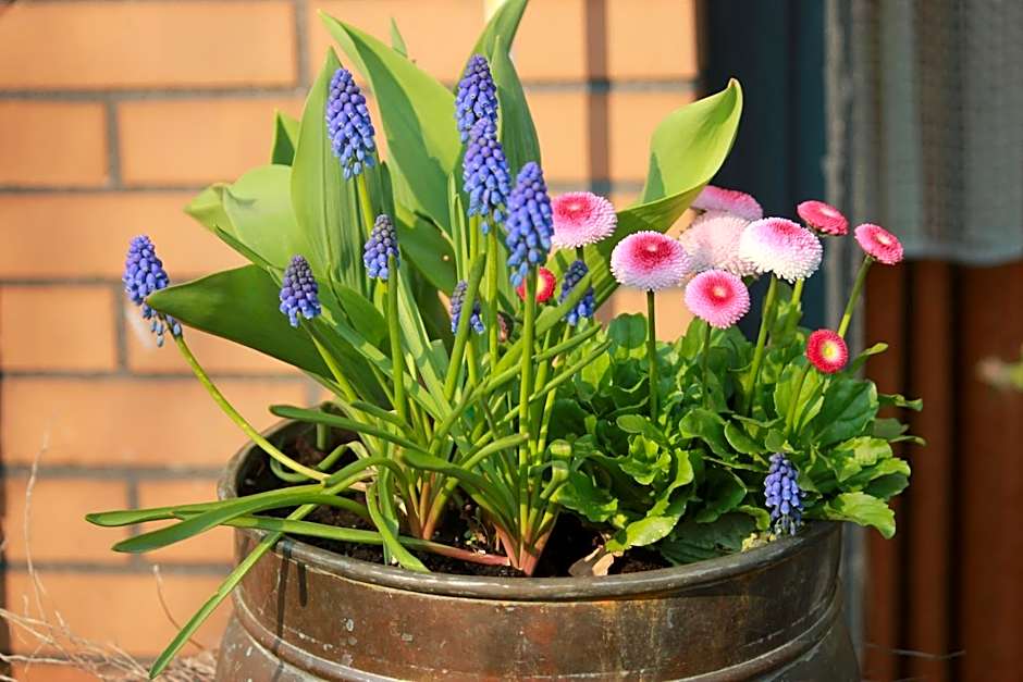 Hotel Pension Haus Stork