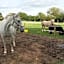 The Stables - Deer Park Farm