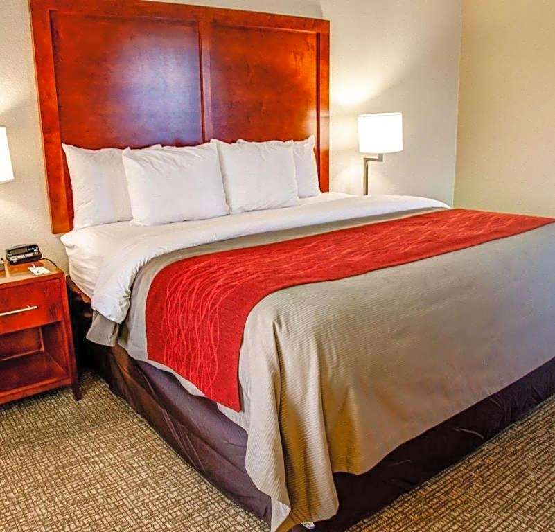 Comfort Inn Bessemer Birmingham South