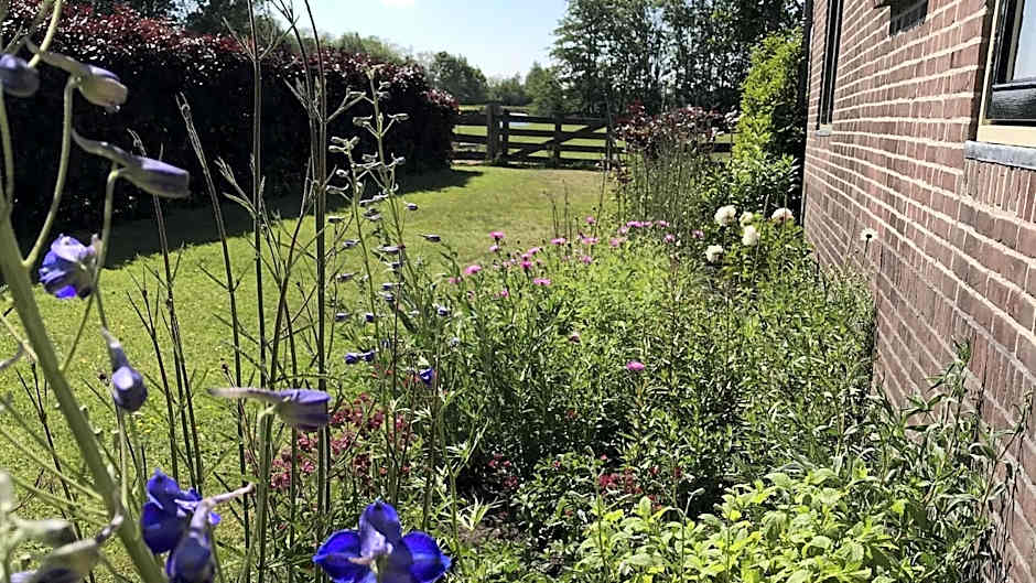 Bed & Breakfast Pax Tibi