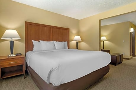 1 King Bed, Suite, Nonsmoking