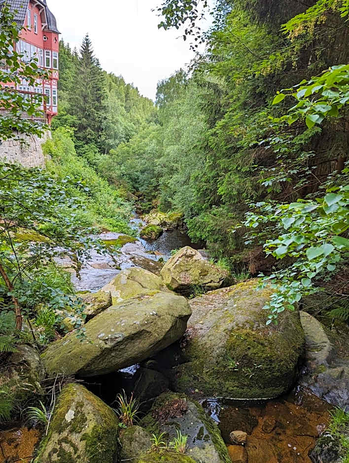 Waldgasthaus & Berghotel Steinerne Renne