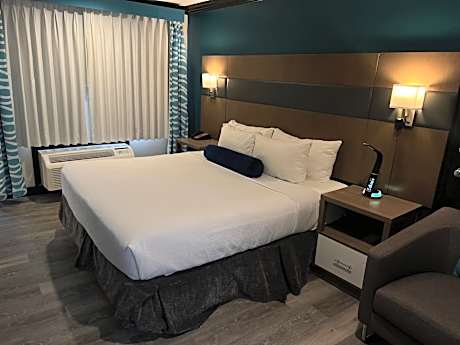 King Room - Non-Smoking