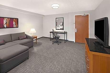 One-Bedroom Queen Suite with Sofa Bed