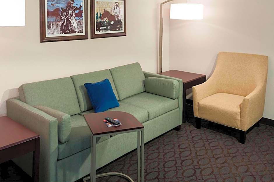 SpringHill Suites by Marriott Dallas Downtown/West End