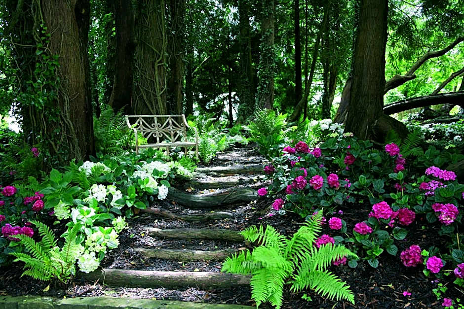 Summer Lodge Country House Hotel