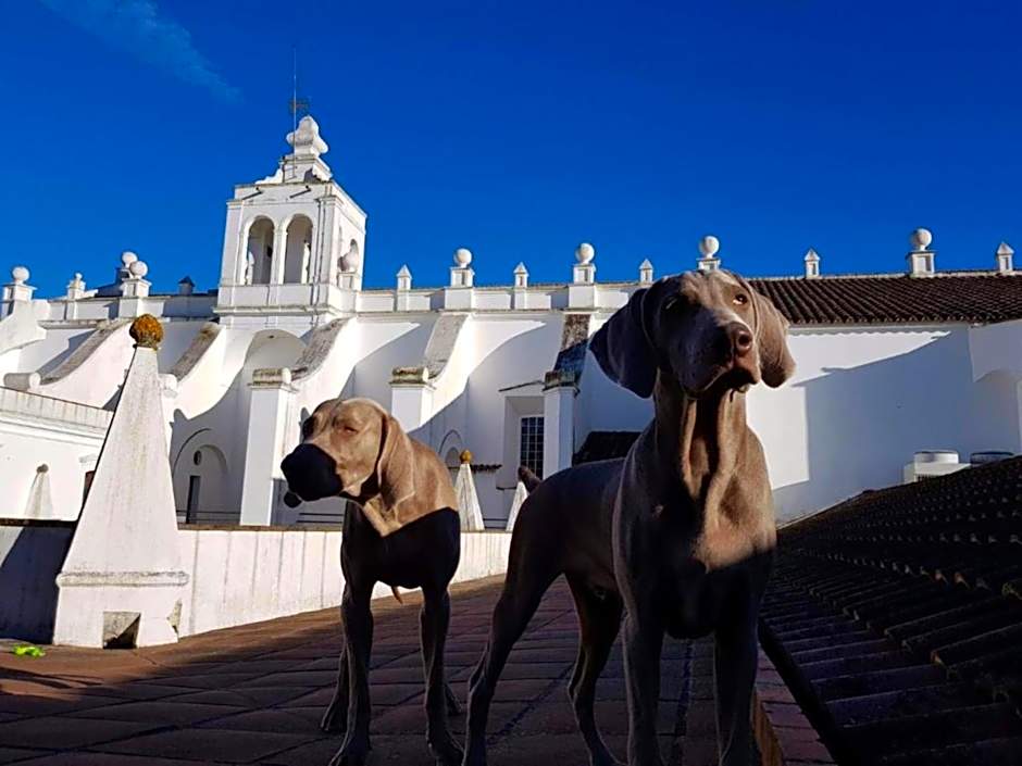 Convento do Espinheiro, Historic Hotel & Spa