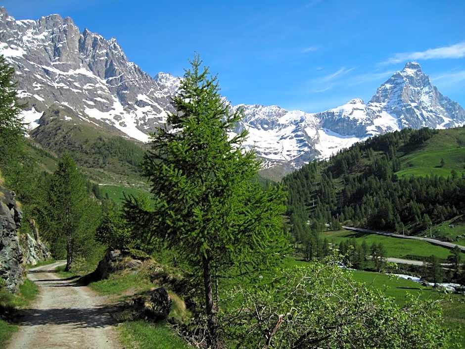 Hotel Meublè Meridiana