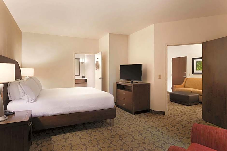 Hilton Garden Inn Rochester Downtown