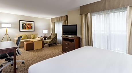 1 King Bed 1 Bedroom Suite Nonsmoking