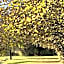 Domaine de Chalaniat