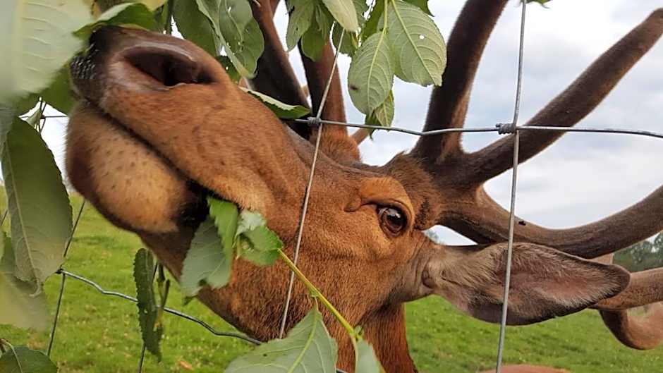 Landhotel Oberwengerhof