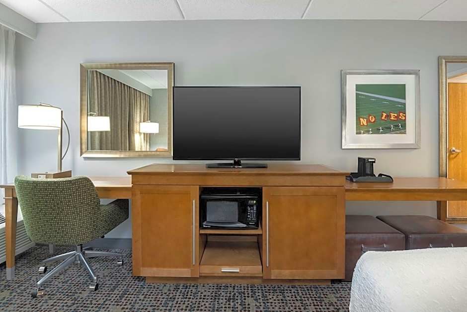 Photo 1 of 5 of 1 King Bed with Sofabed