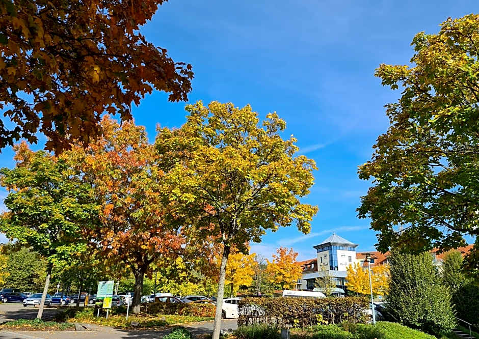 Parkhotel Weiskirchen