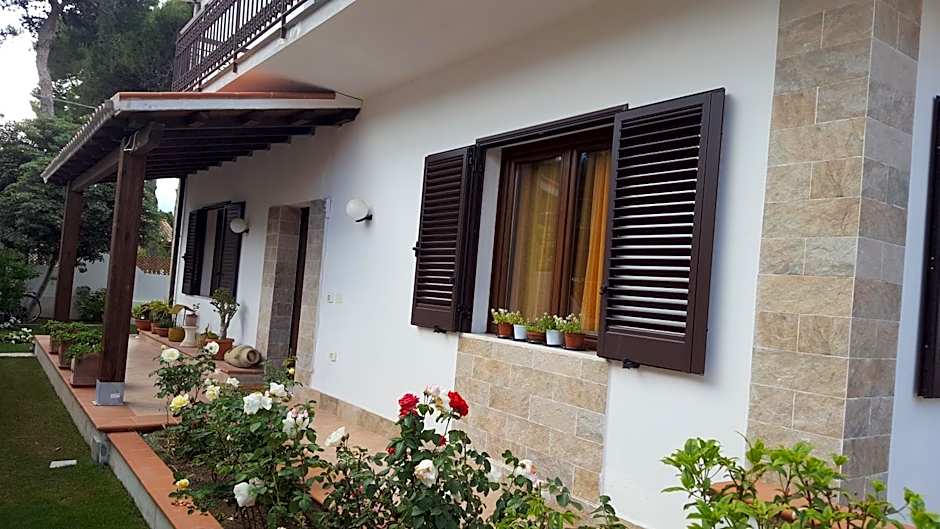 Sole D'oro IUN S4354