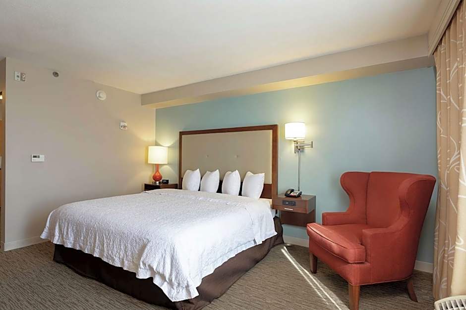 Hampton Inn By Hilton And Suites Austin-Airport