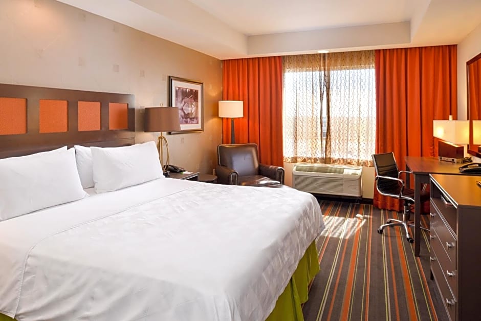The Holiday Inn Amarillo West Medical Center By IHG