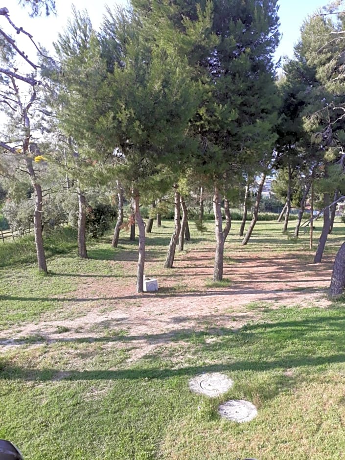 B&B Collina Sul Mare – Fermo, MO