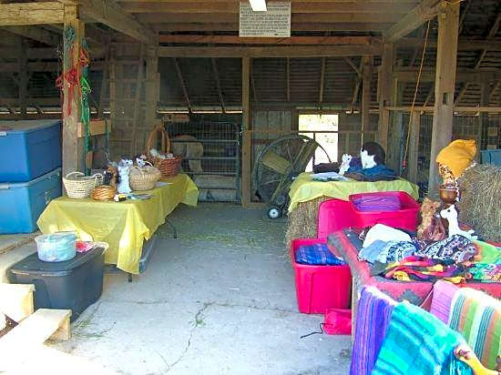Montrose Farms Alpaca Ranch