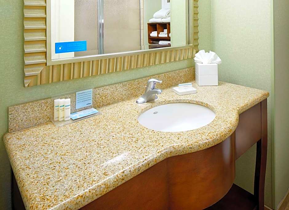 Hampton Inn By Hilton And Suites Savannah Midtown