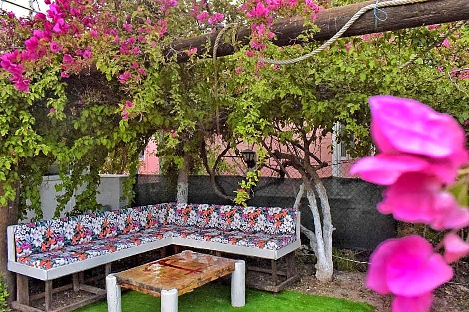 Elit Deniz Palamutbükü