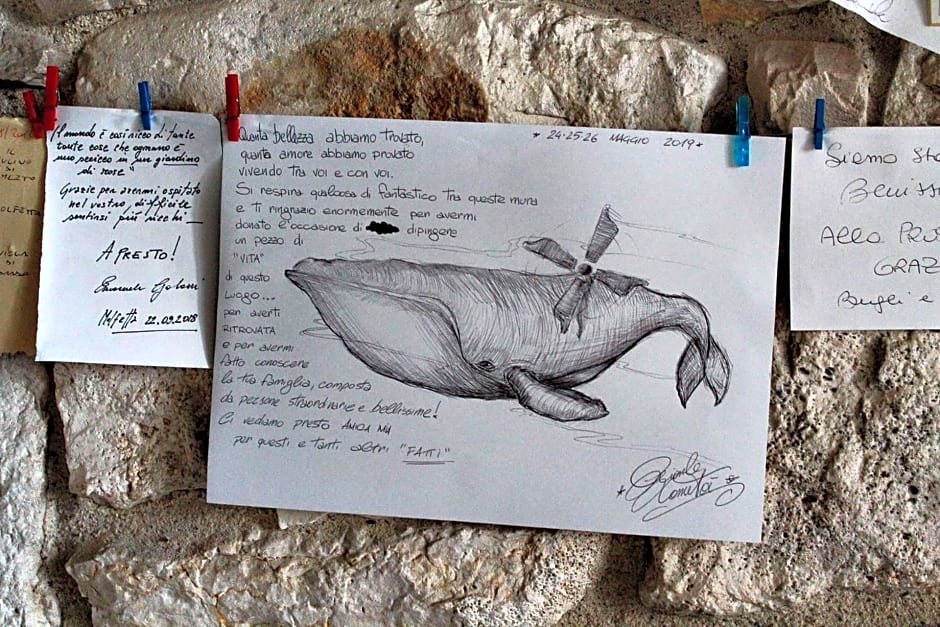 Il Mulino di Amleto - Bed and Breakfast letterario