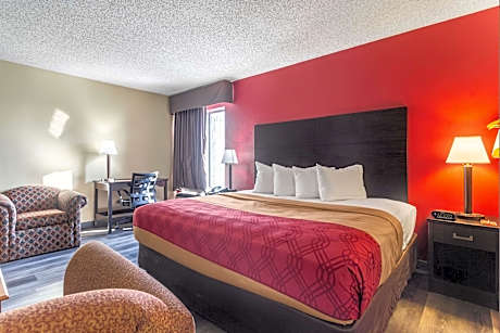 1 King Bed Suite Nonsmoking