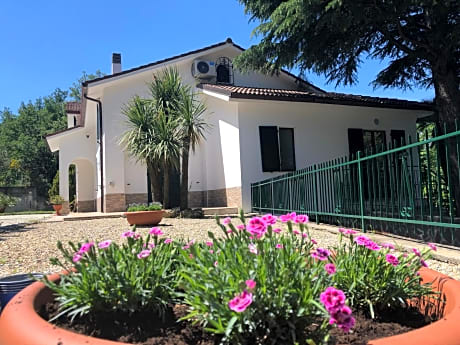 B&B Zac House