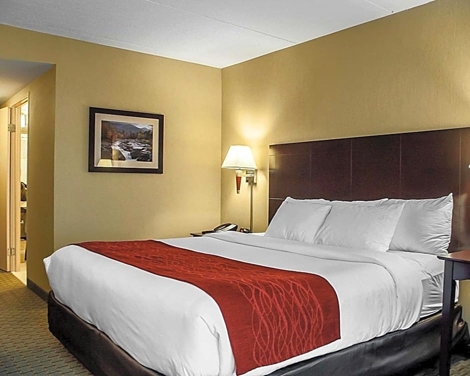 Comfort Inn & Suites Watertown