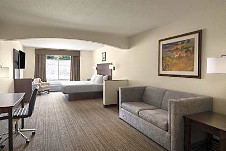 King Suite with Sofa Bed