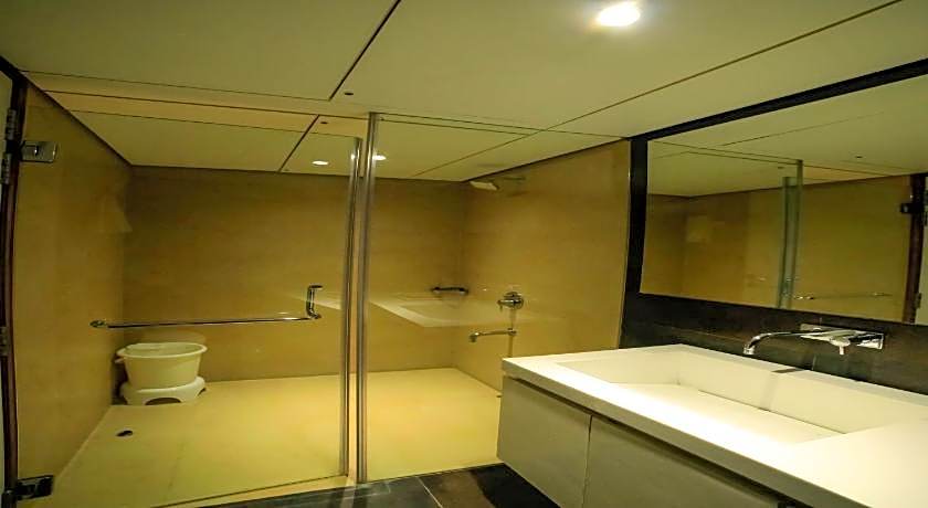 Hotel German Palace, Airport