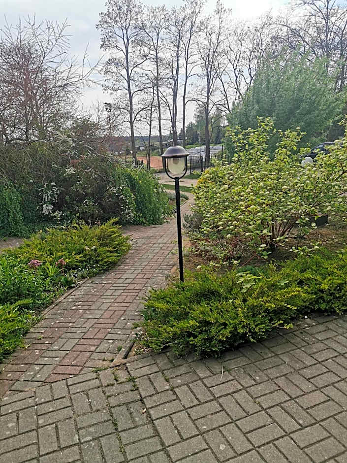 Olimpijka Lidia Wrzesinska